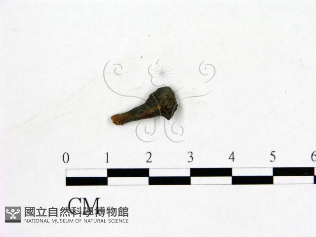 登錄號:F0019606藏品圖，第3張