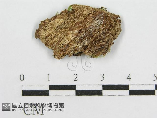 登錄號:F0014406藏品圖，第3張