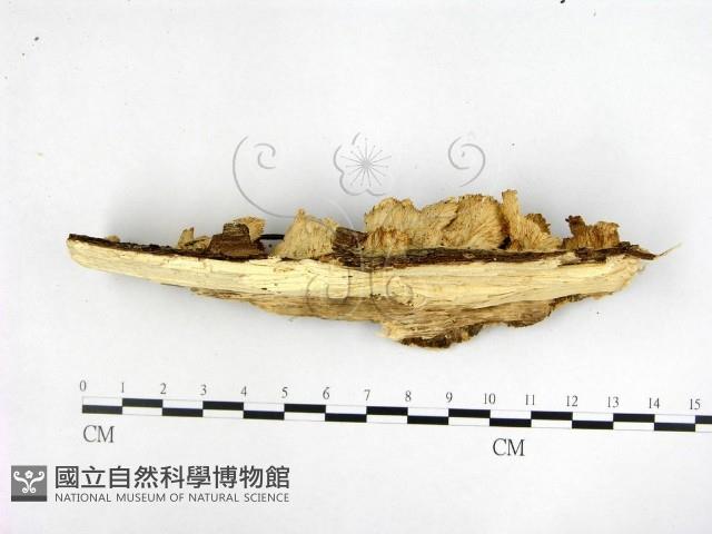 登錄號:F0022406藏品圖，第3張