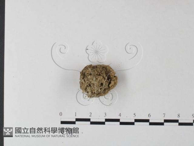 登錄號:F0025406藏品圖，第3張