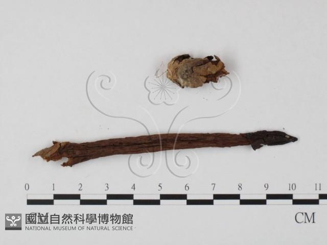 登錄號:F0023406藏品圖，第3張