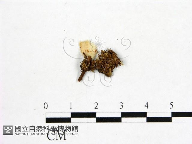 登錄號:F0000706藏品圖，第3張