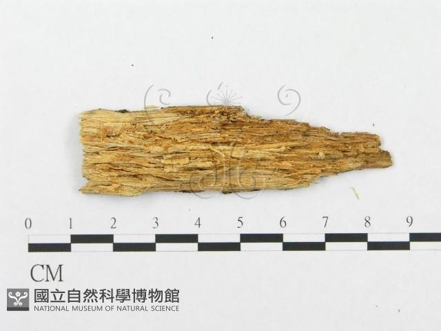 登錄號:F0015706藏品圖，第3張