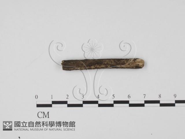 登錄號:F0019706藏品圖，第3張
