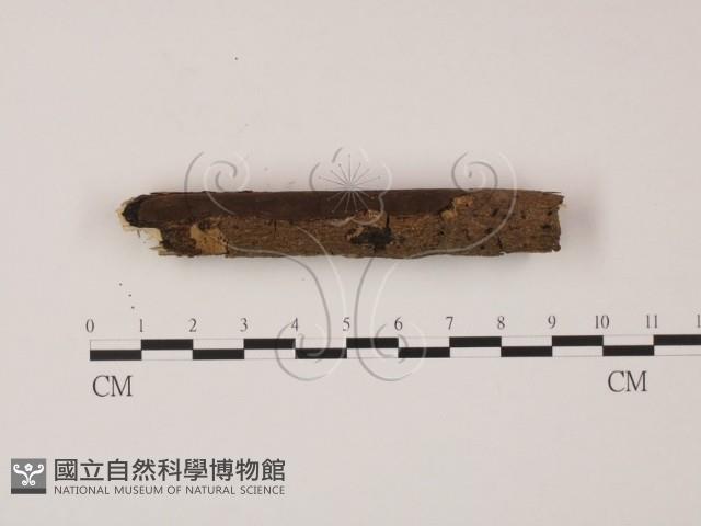 登錄號:F0003706藏品圖，第3張