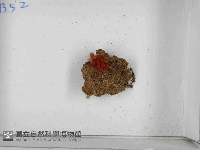 登錄號:F0021506藏品圖，第3張