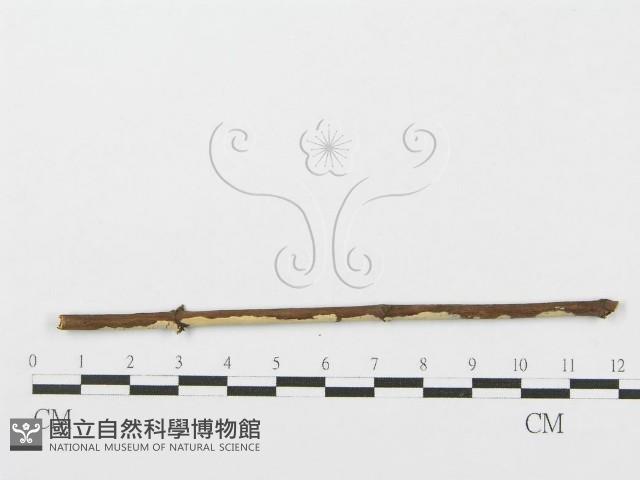 登錄號:F0004506藏品圖，第3張