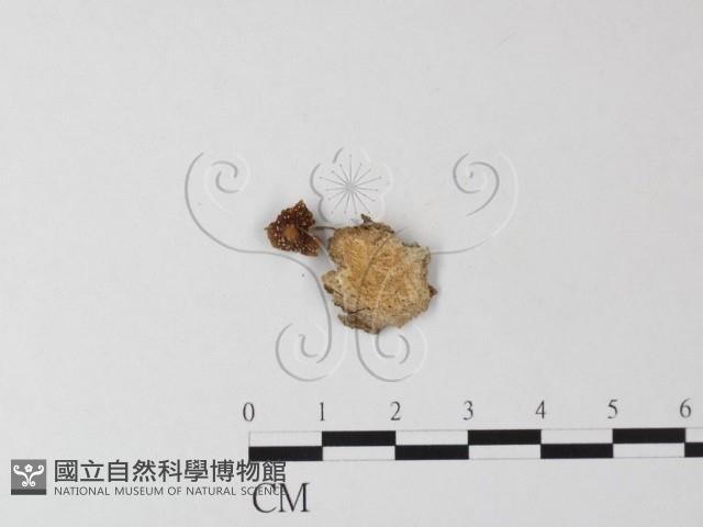 登錄號:F0023506藏品圖，第3張