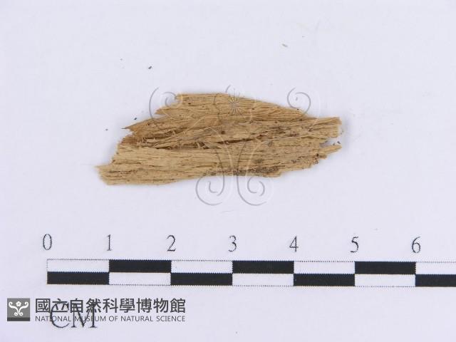 登錄號:F0017816藏品圖，第3張