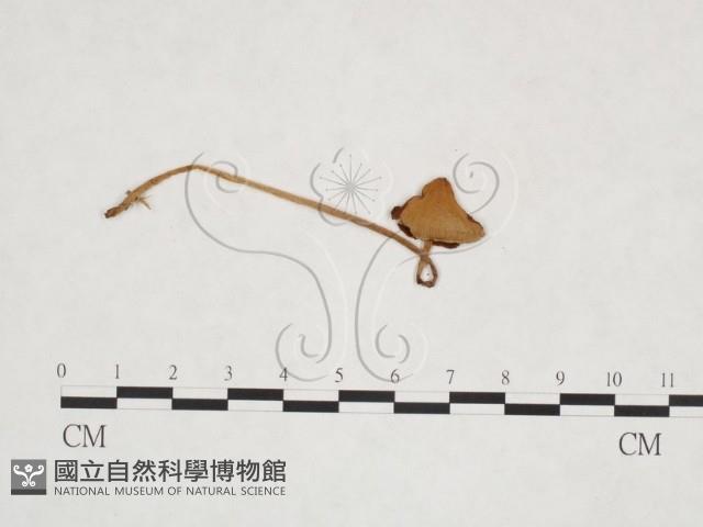 登錄號:F0025916藏品圖，第3張