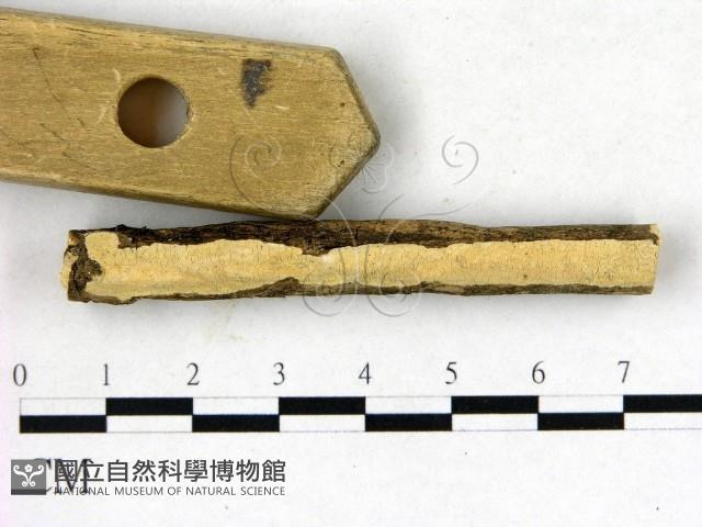 登錄號:F0003916藏品圖，第3張