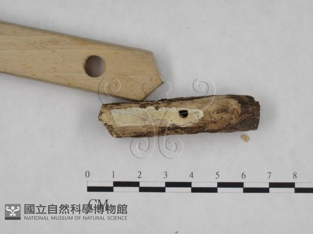 登錄號:F0008616藏品圖，第3張