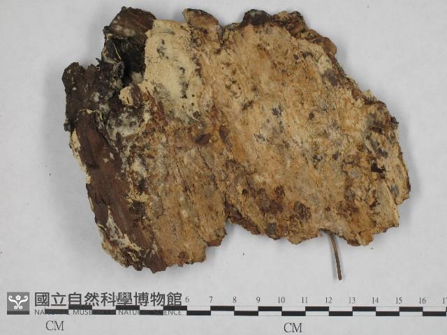 登錄號:F0004616藏品圖，第3張