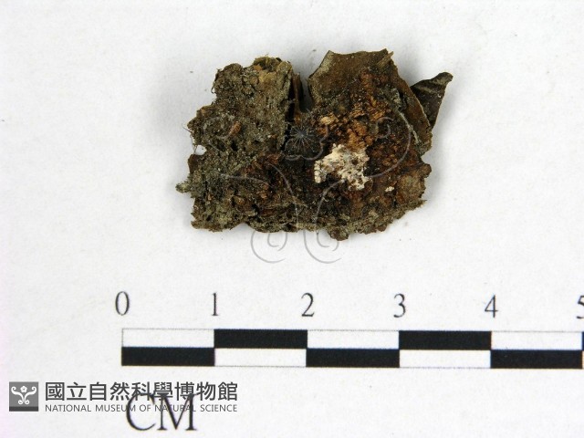 登錄號:F0022616藏品圖，第3張