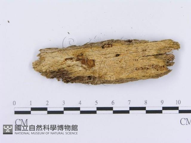 登錄號:F0003616藏品圖，第3張