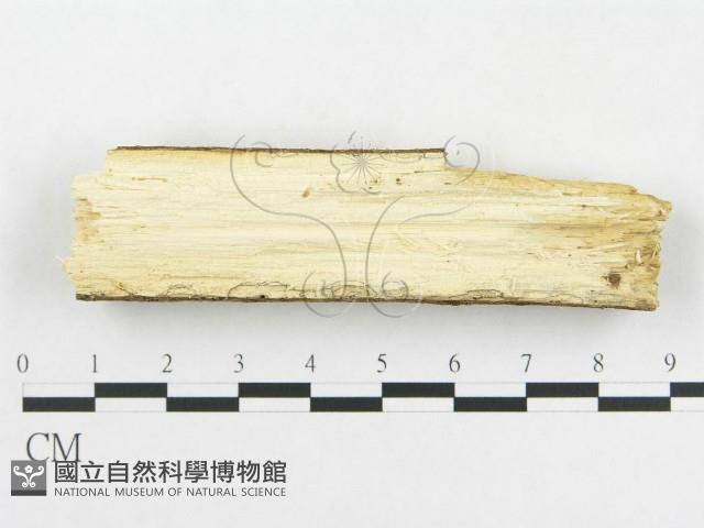 登錄號:F0018716藏品圖，第3張
