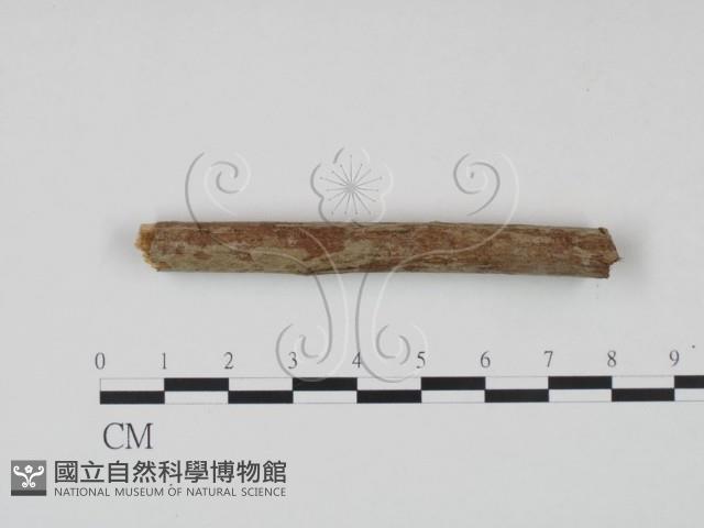 登錄號:F0021716藏品圖，第3張
