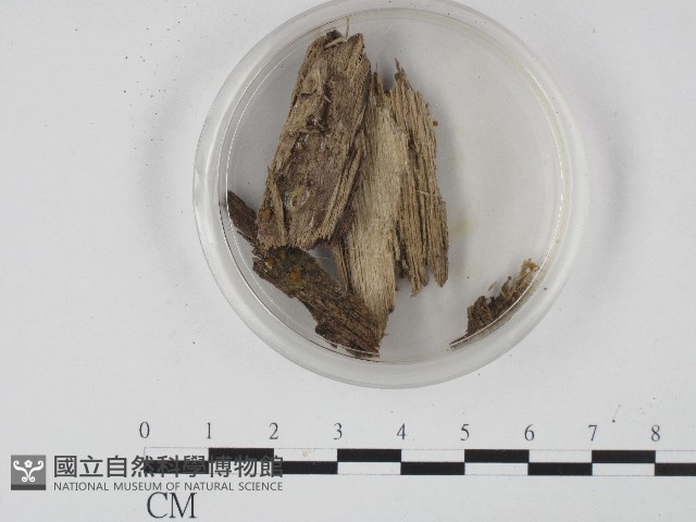 登錄號:F0004716藏品圖，第3張