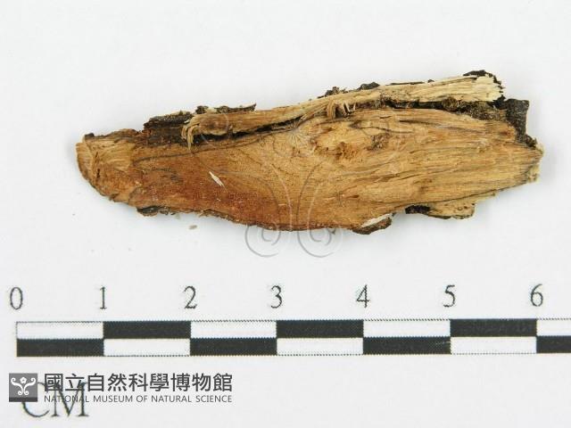 登錄號:F0010016藏品圖，第3張