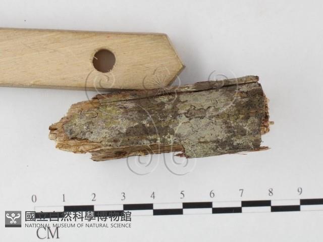 登錄號:F0026016藏品圖，第3張