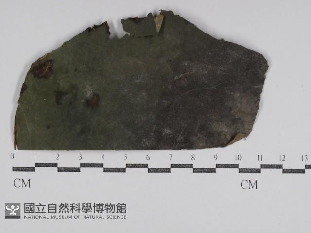 登錄號:F0031016藏品圖，第1張