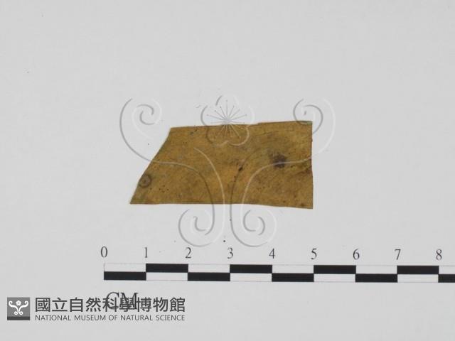 登錄號:F0022016藏品圖，第3張
