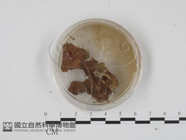 登錄號:F0001316藏品圖，第3張