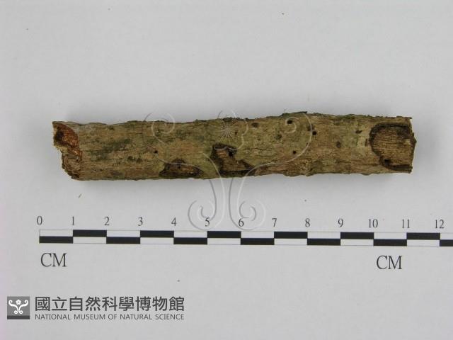 登錄號:F0003256藏品圖，第3張