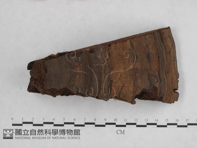 登錄號:F0018856藏品圖，第1張