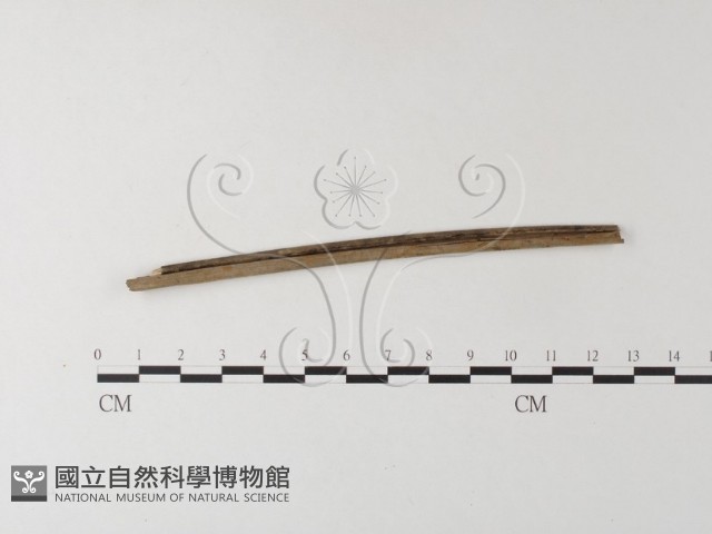 登錄號:F0007856藏品圖，第1張