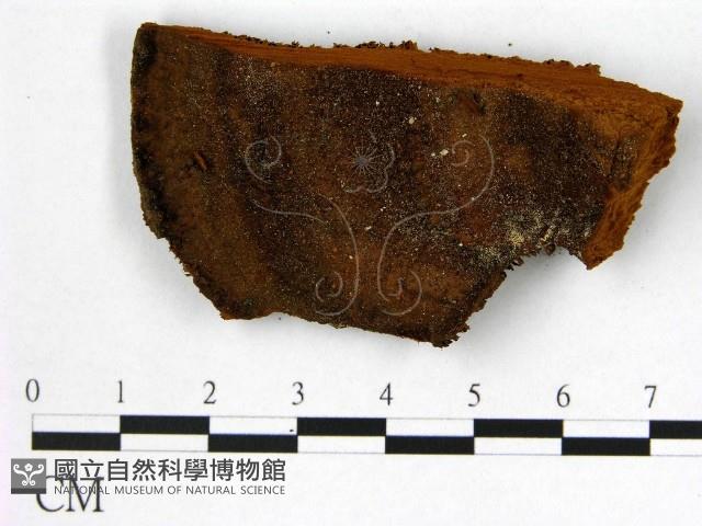 登錄號:F0005856藏品圖，第3張