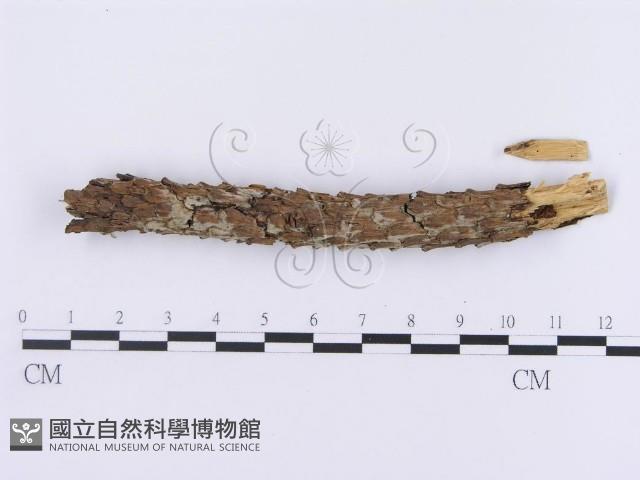 登錄號:F0002956藏品圖，第3張