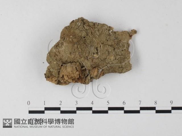 登錄號:F0023956藏品圖，第3張