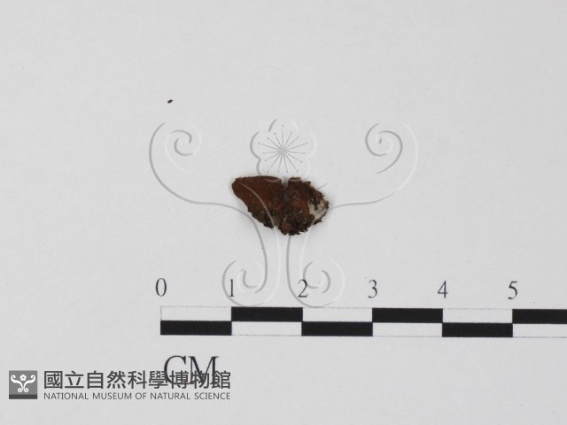 登錄號:F0003456藏品圖，第3張
