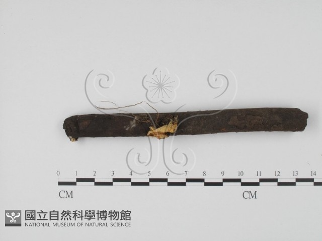 登錄號:F0000756藏品圖，第3張