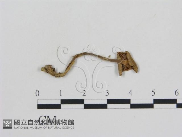 登錄號:F0010756藏品圖，第3張