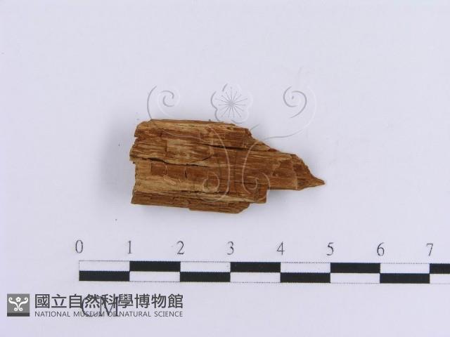 登錄號:F0016756藏品圖，第3張