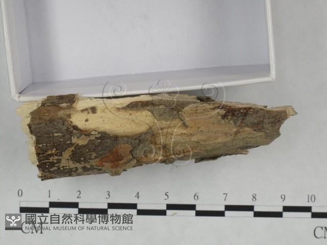 登錄號:F0021756藏品圖，第3張