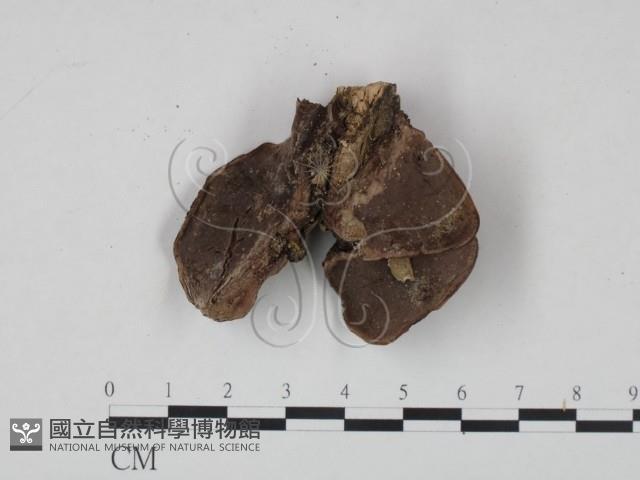 登錄號:F0002756藏品圖，第3張