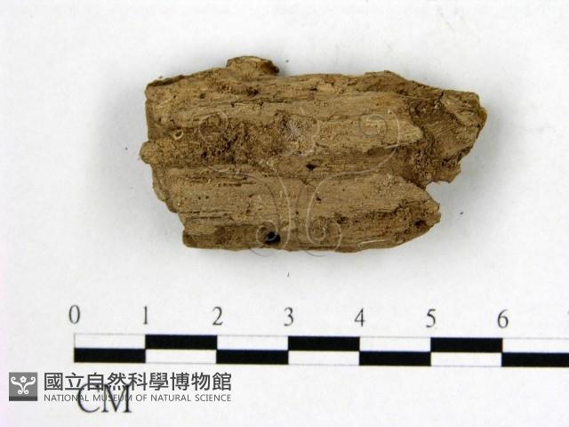 登錄號:F0006556藏品圖，第3張