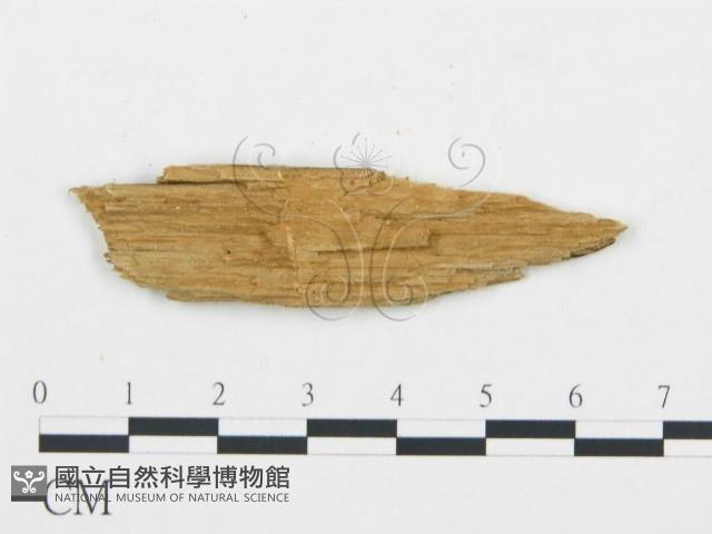 登錄號:F0009556藏品圖，第3張