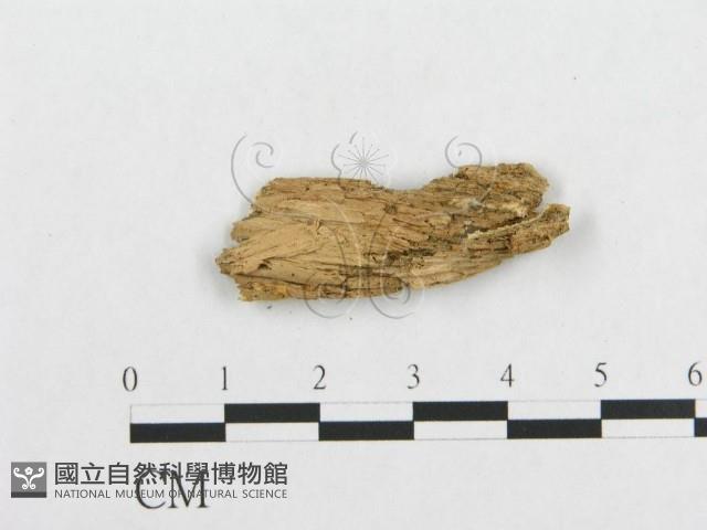 登錄號:F0014156藏品圖，第3張