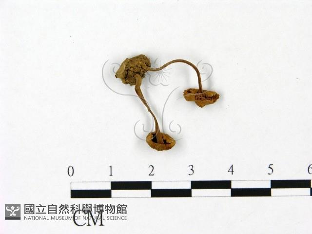 登錄號:F0023056藏品圖，第3張