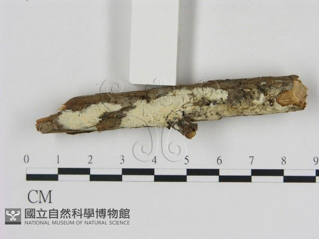 登錄號:F0000356藏品圖，第3張