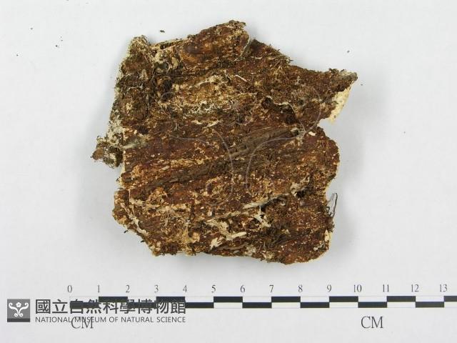 登錄號:F0008246藏品圖，第3張