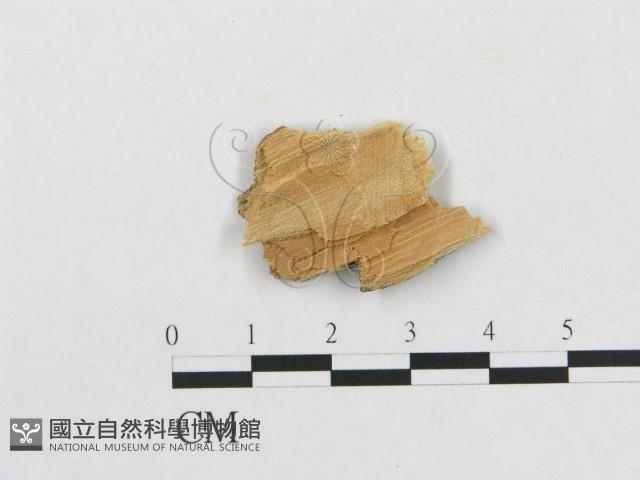 登錄號:F0007246藏品圖，第3張