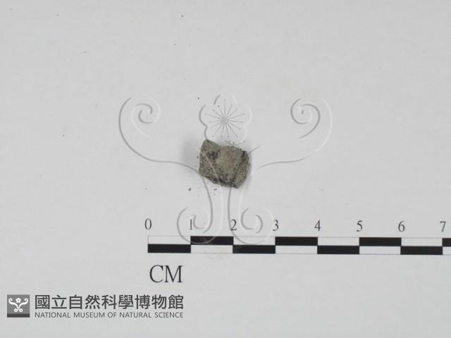 登錄號:F0009846藏品圖，第3張