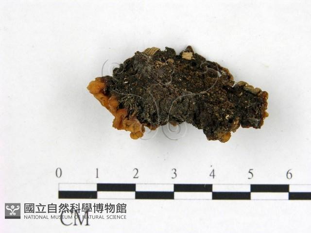 登錄號:F0000946藏品圖，第3張