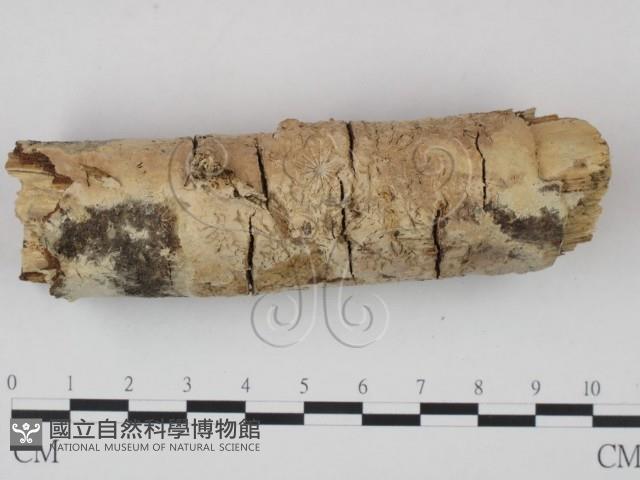 登錄號:F0002946藏品圖，第3張