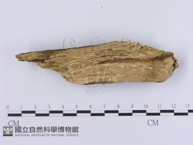 登錄號:F0003946藏品圖，第3張